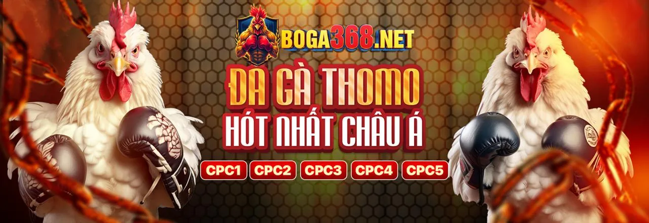 Hình ảnh chủ đề Tuân thủ GDPR của gem88